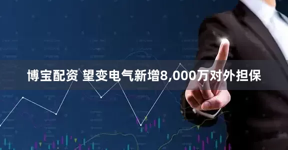 博宝配资 望变电气新增8,000万对外担保